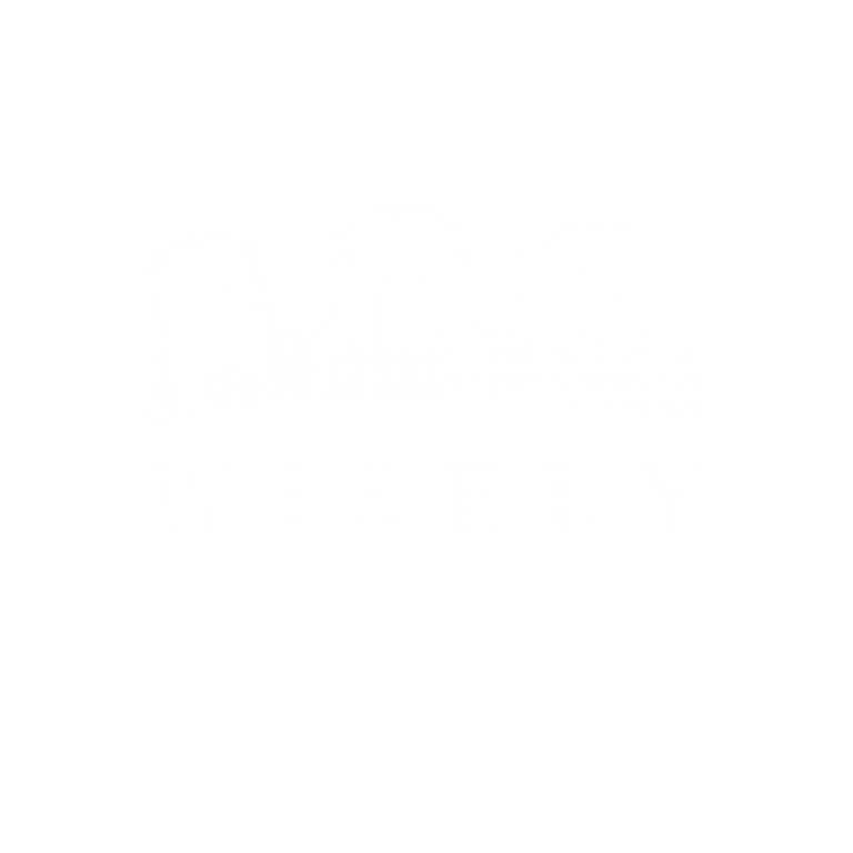 logo wisely